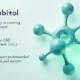 What Is Cannabitol