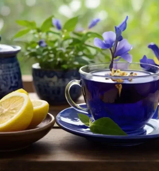 Butterfly Pea Tea