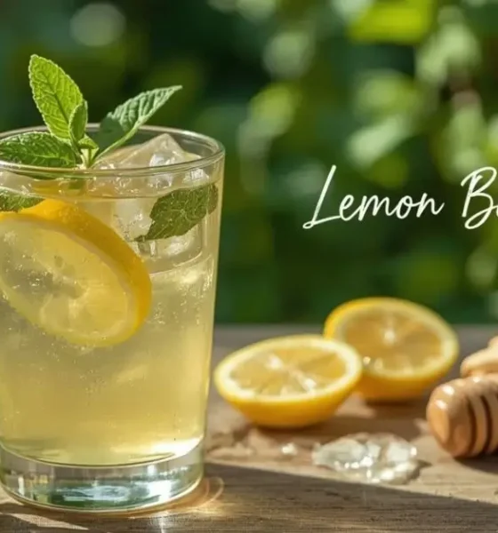 Lemon Balm Drink